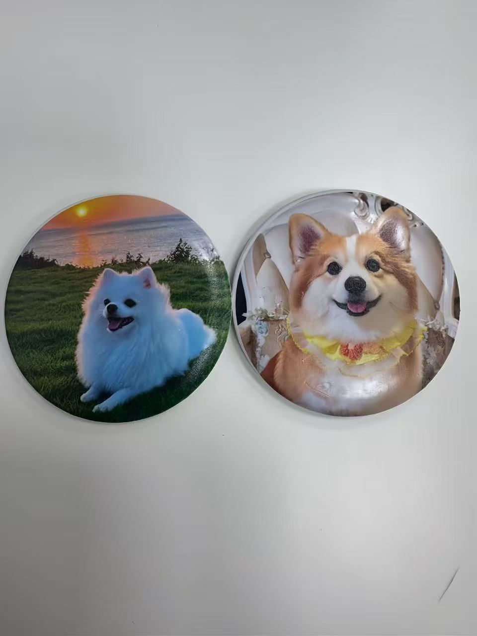 Pair of round pet photo fridge magnets